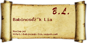 Babincsák Lia névjegykártya